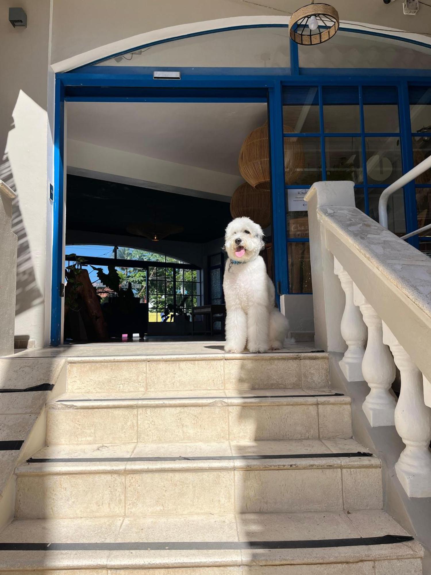 Hotel El Kaoba Cabarete Zewnętrze zdjęcie